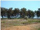 44 Warburton Rd, Bridgetown WA 6255