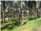 44 Warburton Rd, Bridgetown WA 6255