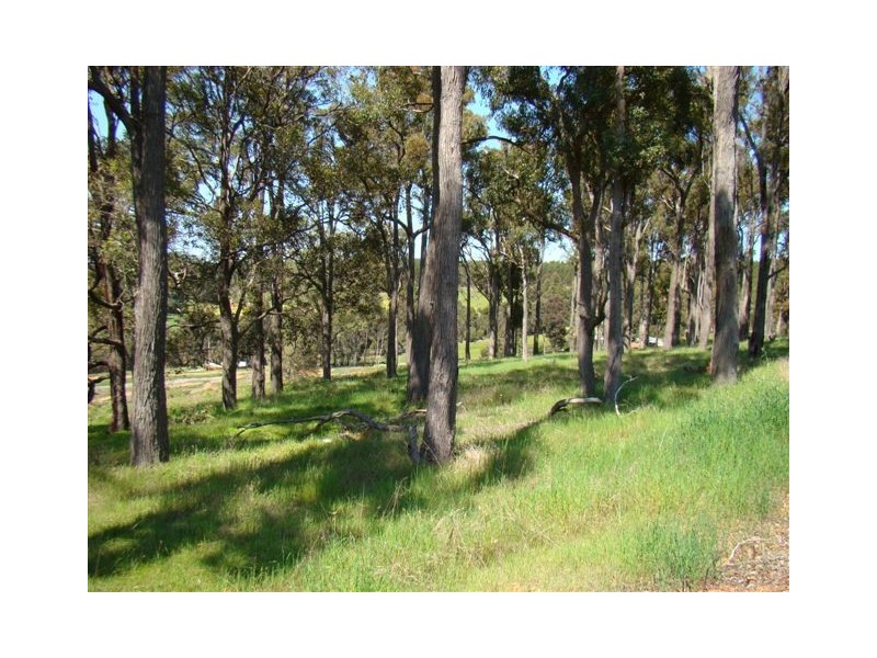 44 Warburton Rd, Bridgetown WA 6255