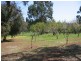 401 Ford Rd, Bridgetown WA 6255