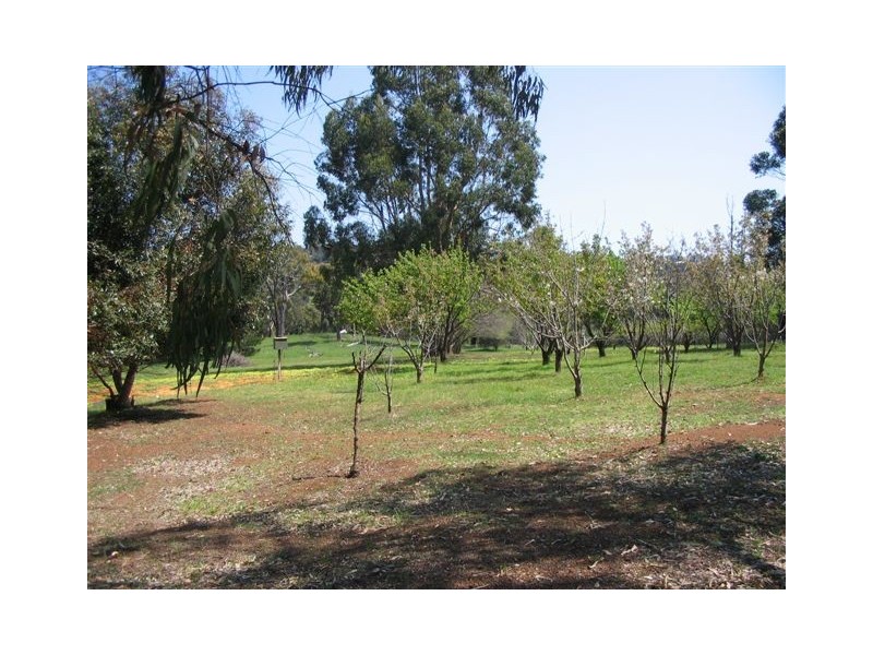 401 Ford Rd, Bridgetown WA 6255