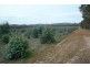Lot 3496 Newlgalup Rd, Dinninup WA 6244