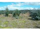 Lot 3496 Newlgalup Rd, Dinninup WA 6244