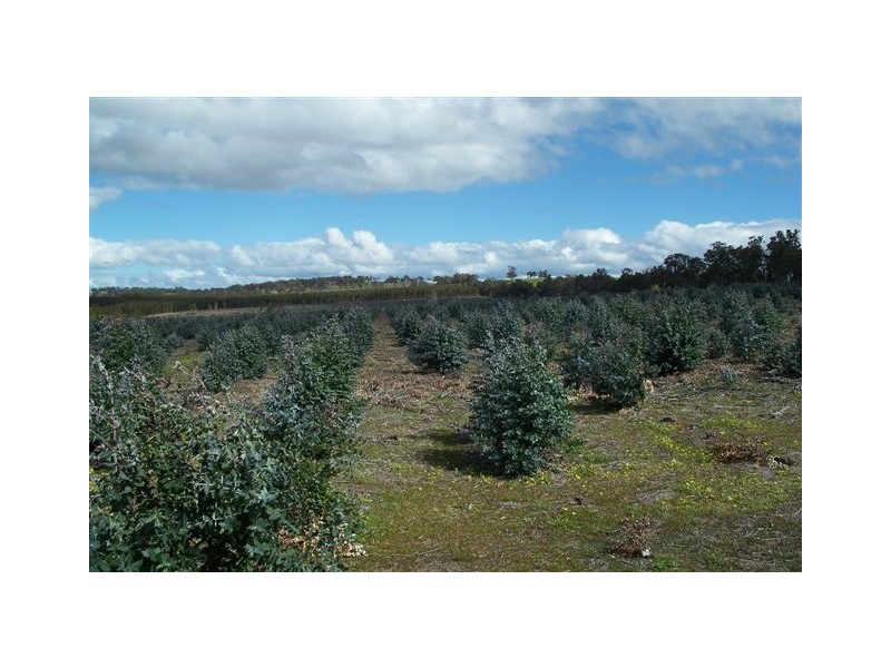 Lot 3496 Newlgalup Rd, Dinninup WA 6244