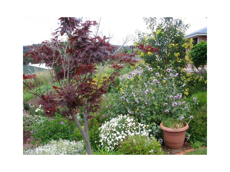 14 Forrest Street, Bridgetown WA 6255