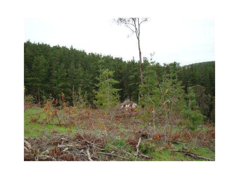 Lot 962 Grange Road, Bridgetown WA 6255