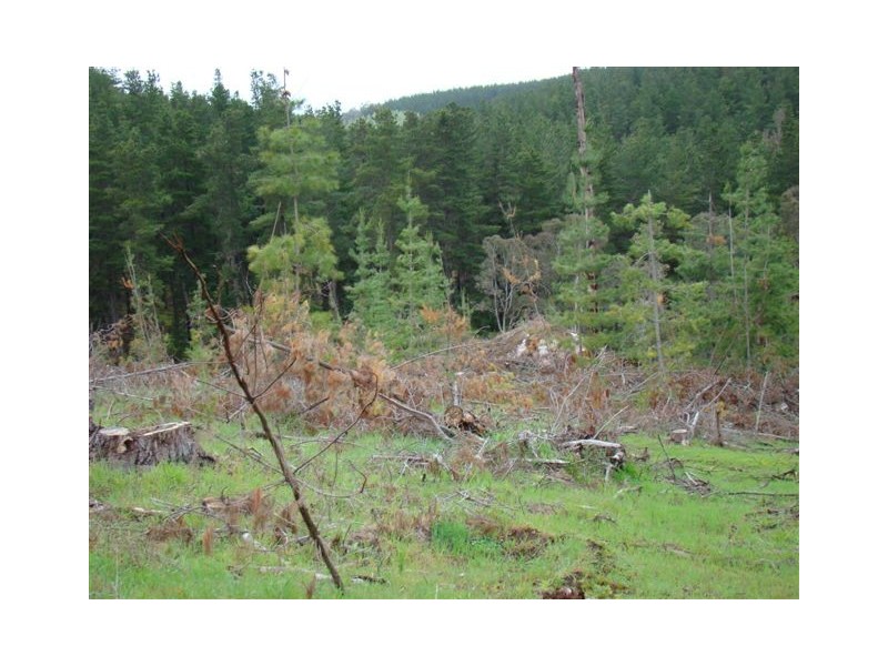 Lot 962 Grange Road, Bridgetown WA 6255