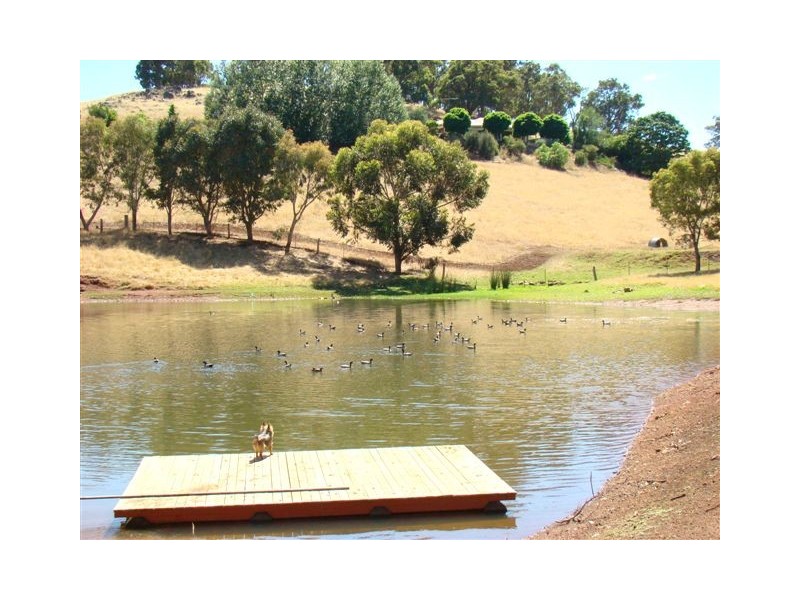 Lot 6 Adams Rd, Bridgetown WA 6255