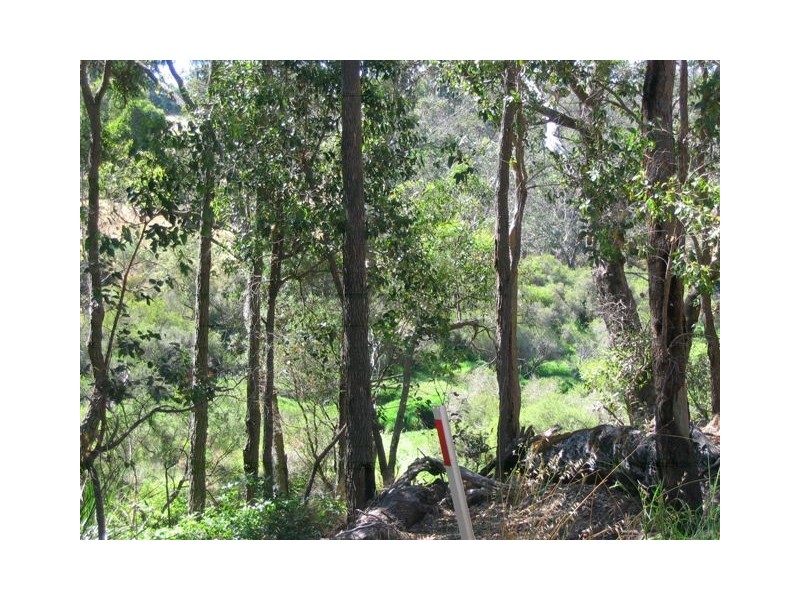 181 Blackwood Tce, Bridgetown WA 6255