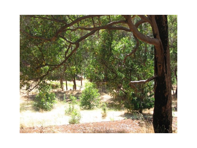 181 Blackwood Tce, Bridgetown WA 6255