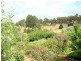 11 Cutmore Cres, Bridgetown WA 6255