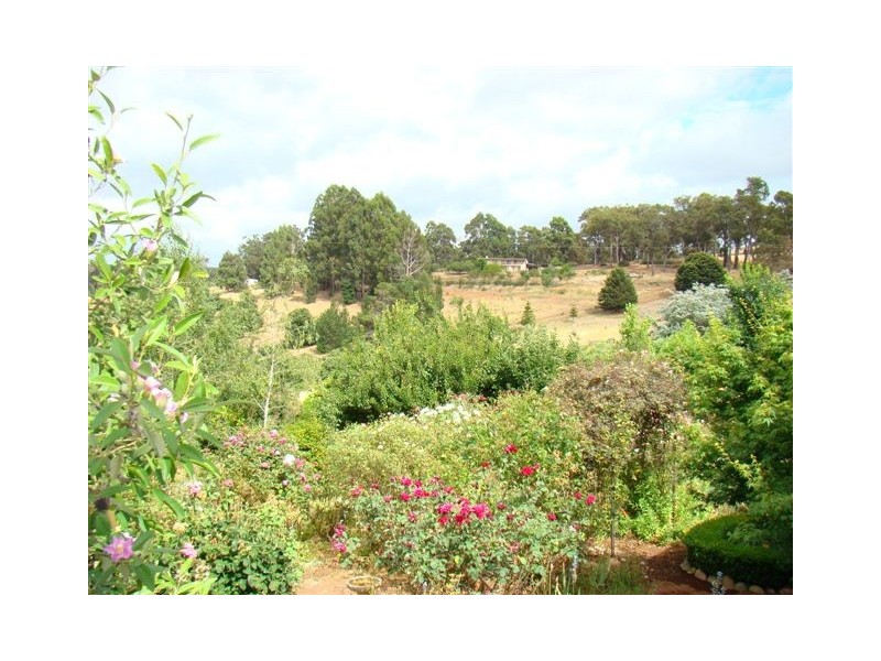 11 Cutmore Cres, Bridgetown WA 6255