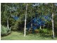 11 Cutmore Cres, Bridgetown WA 6255