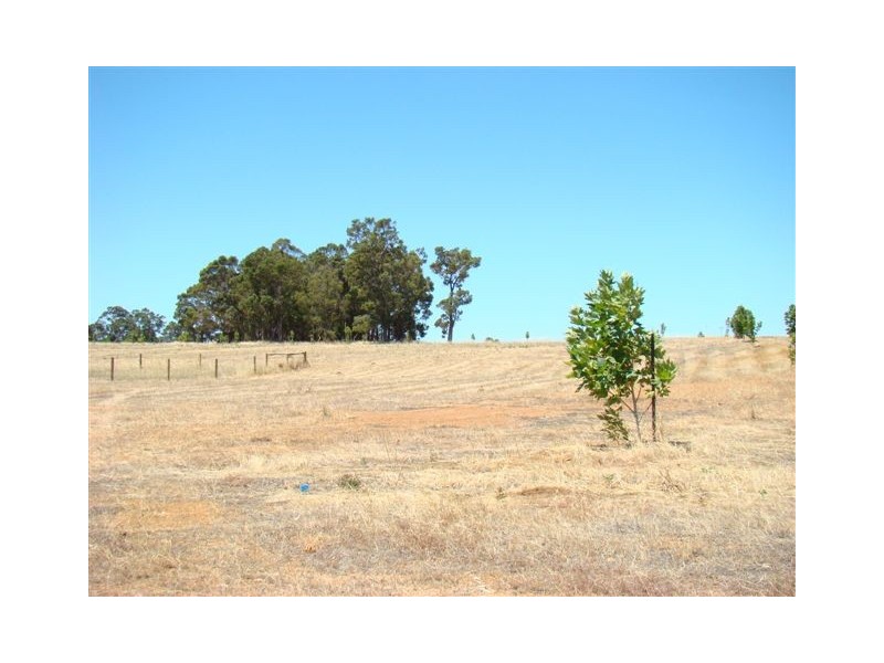 19 Galloway Drive, Bridgetown WA 6255