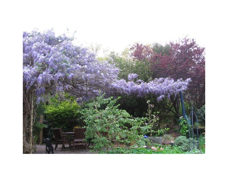 68 Blechynden Street, Bridgetown WA 6255