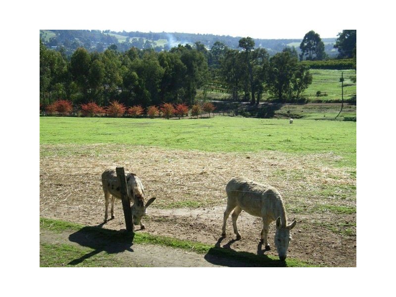 Lot 15 Doust Street, Bridgetown WA 6255