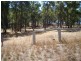 Lot 42 Winesap View, Bridgetown WA 6255