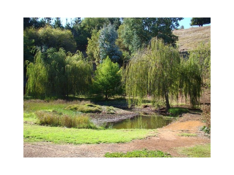 34 Nelson St, Bridgetown WA 6255