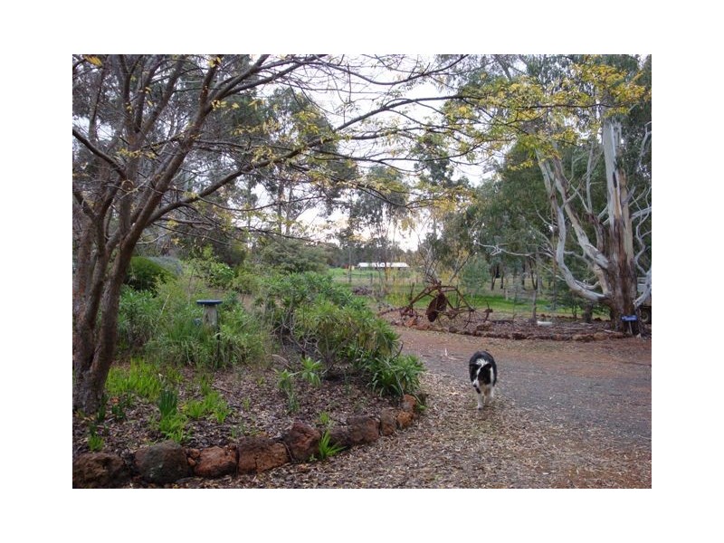 Lot 706 Maslin Street, Bridgetown WA 6255