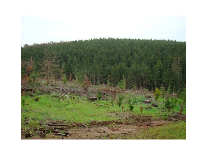 962 Grange, Bridgetown WA 6255