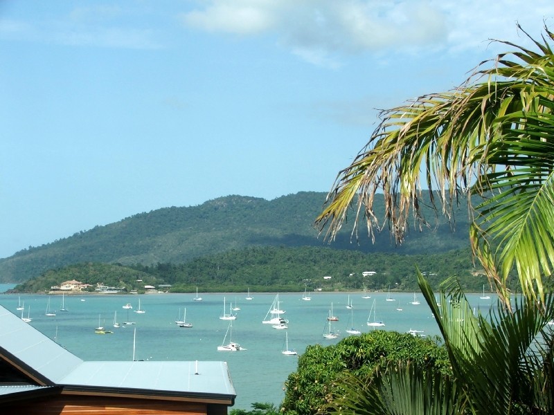 1/38 Airlie Crescent, Airlie Beach QLD 4802