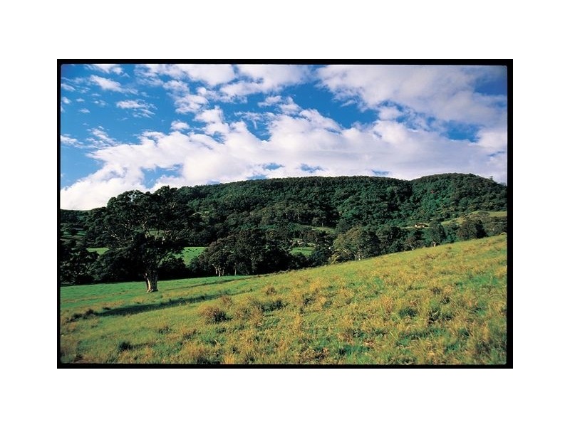 Lot 733 Daintree Drive, Albion Park NSW 2527