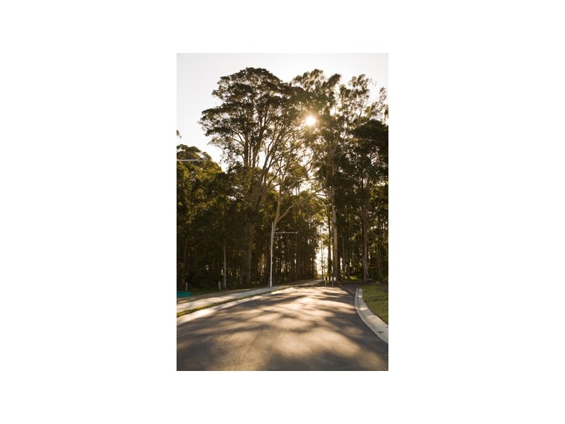 Lot 25 Connoly Street, Tomerong NSW 2540