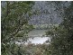 384 Wisemans Ferry Road, Spencer NSW 2775