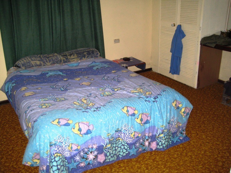 60 Discovery Avenue, Willmot NSW 2770