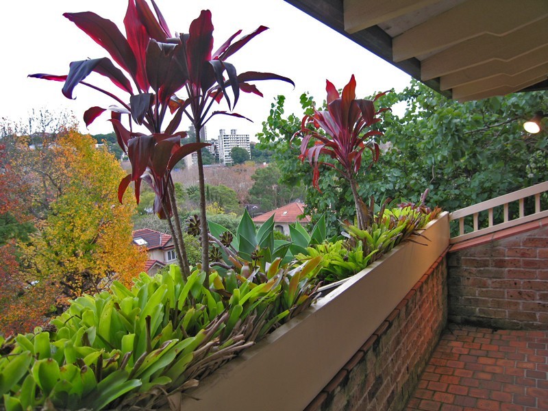 10 Carlotta Road, Double Bay NSW 2028