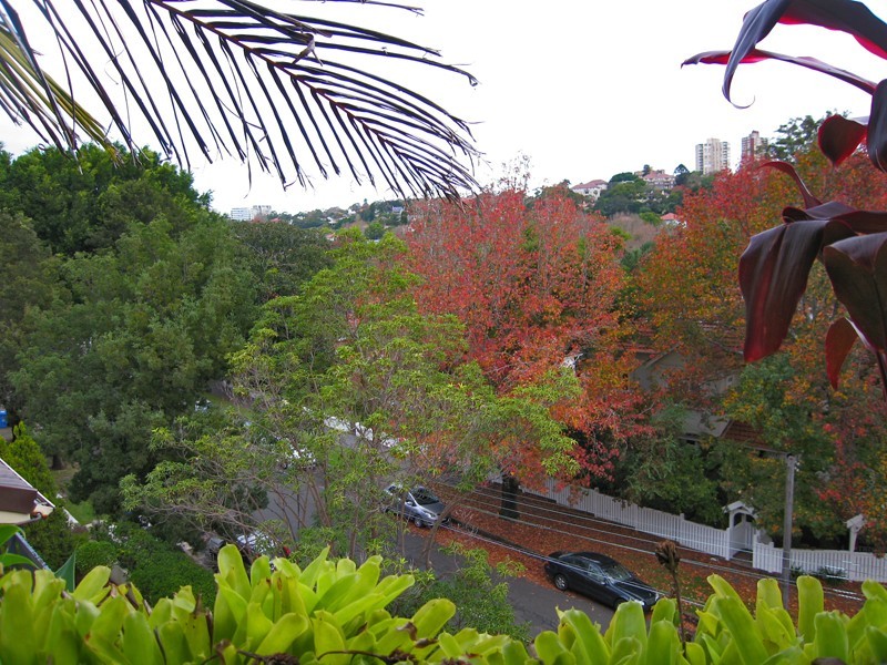 10 Carlotta Road, Double Bay NSW 2028