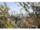 12/9-11 St Neot Avenue, Potts Point NSW 2011