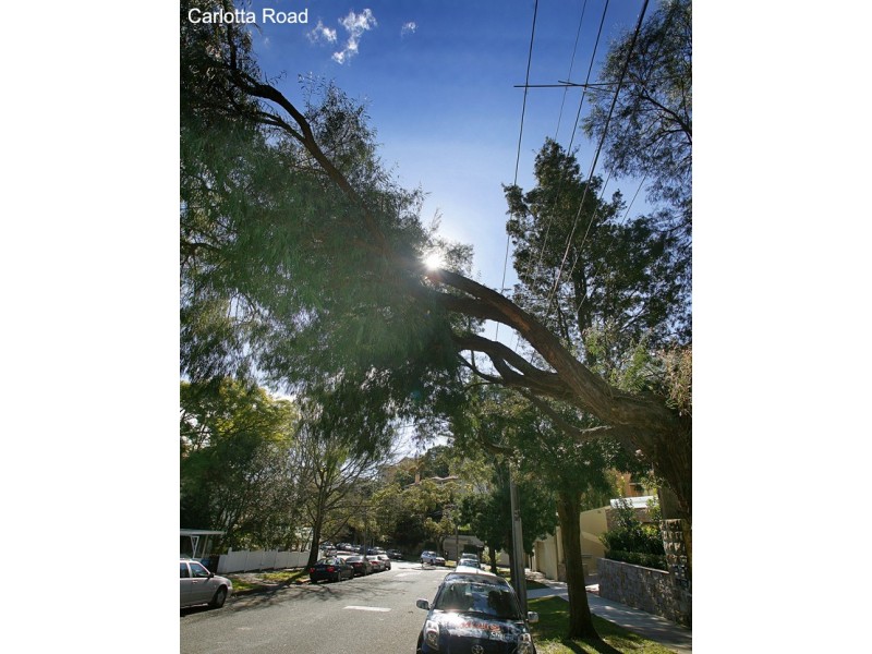 10 Carlotta Road, Double Bay NSW 2028