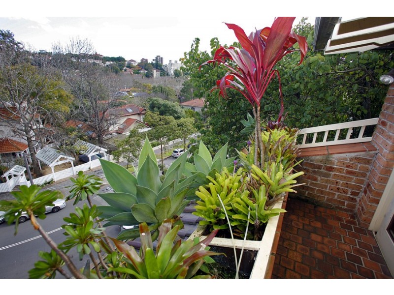 2/10 Carlotta Road, Double Bay NSW 2028