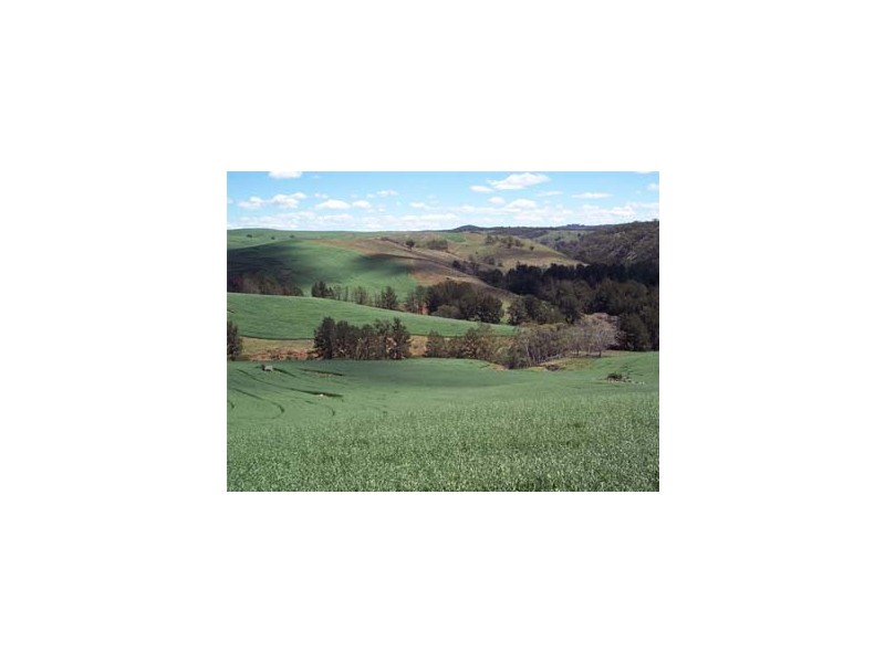 Lot 17 Nandi Rd, Canyonleigh NSW 2577