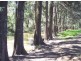 Lot 17 Nandi Rd, Canyonleigh NSW 2577