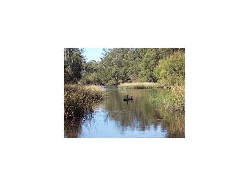 Lot 17 Nandi Rd, Canyonleigh NSW 2577