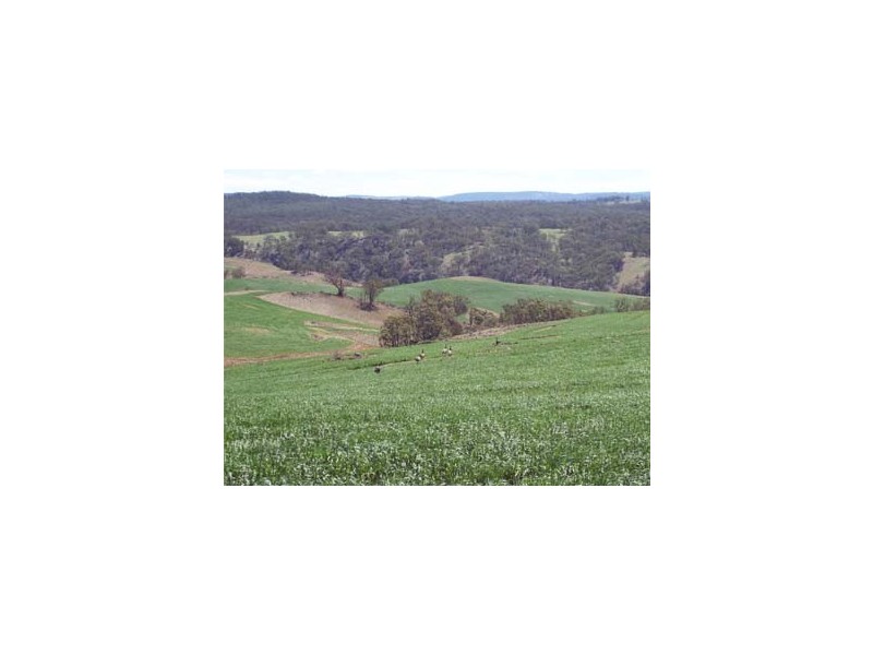 Lot 17 Nandi Rd, Canyonleigh NSW 2577