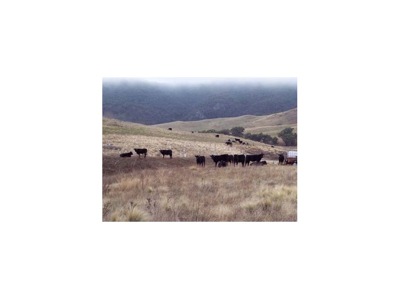 Lot 17 Nandi Rd, Canyonleigh NSW 2577