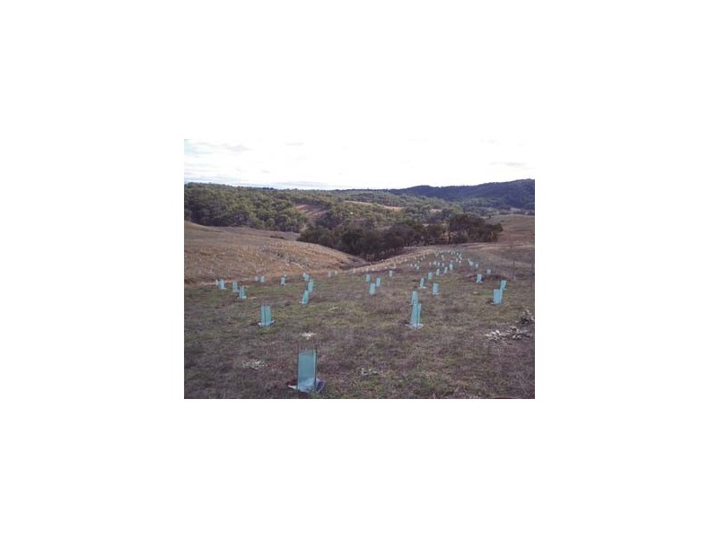 Lot 17 Nandi Rd, Canyonleigh NSW 2577