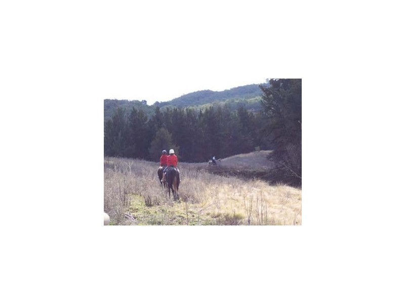 Lot 17 Nandi Rd, Canyonleigh NSW 2577