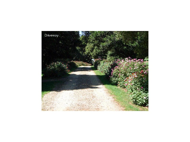 LOT 15 (12- 14) Lemmons Rd, Robertson NSW 2577