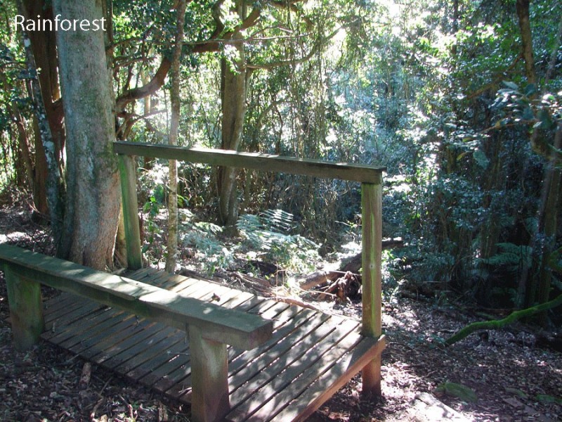 LOT 15 (12- 14) Lemmons Rd, Robertson NSW 2577