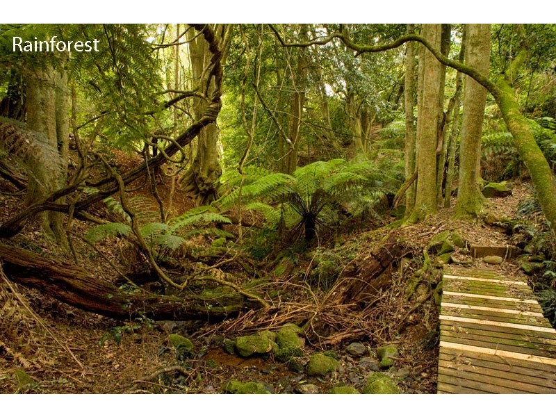 LOT 15 (12- 14) Lemmons Rd, Robertson NSW 2577