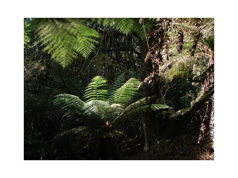 16-18 Lemmons Road, Robertson NSW 2577