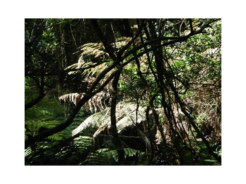 16-18 Lemmons Road, Robertson NSW 2577