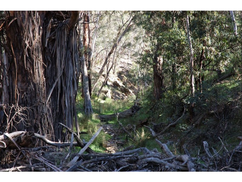 2469 Range Road, Goulburn NSW 2580