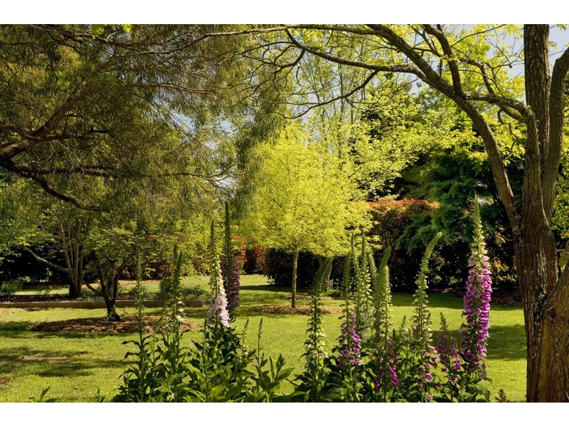 44 Village Road, Sutton Forest NSW 2577