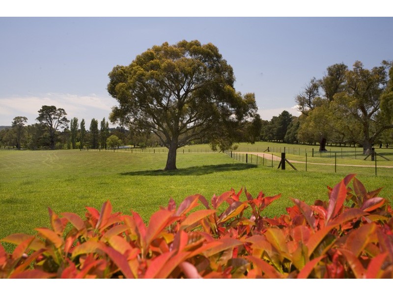 44 Village Road, Sutton Forest NSW 2577