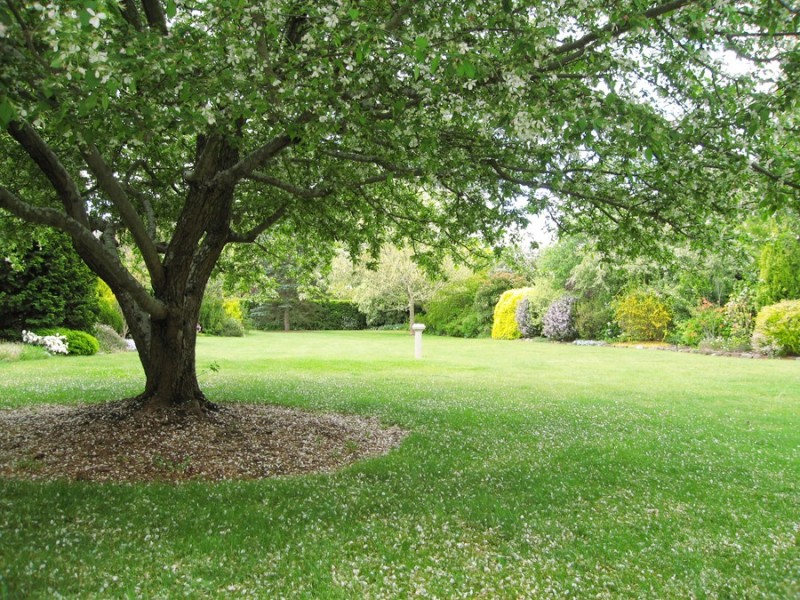 95 Osborne Road, Burradoo NSW 2576